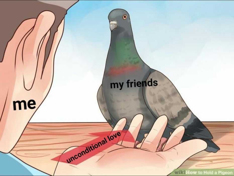 Meme-Pigeon-Meme Meme Pigeon Meme