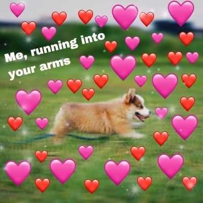 Meme-Running-Into-Arms Meme Running Into Arms