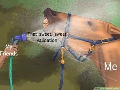 Meme-Sweet-Validation Meme Sweet Validation