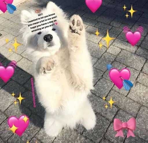 Meme-Wanted-To-Tell-You Meme Wanted To Tell You