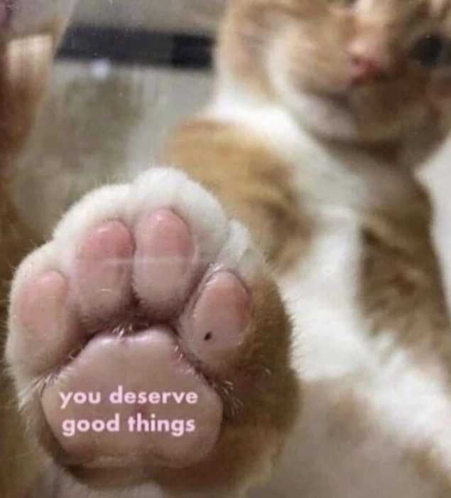 Meme-You-Deserve Meme You Deserve