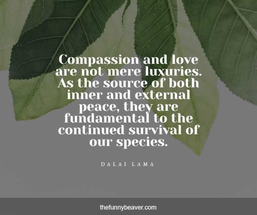 Peace_Continued_Survival Peace Continued Survival