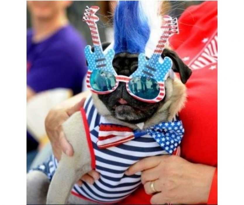 Pug-4Th-Of-July-Dressup-Meme Pug Dressed Up With Stars And Stripes With Stars And Stripes Decorated Guitar Glasses
