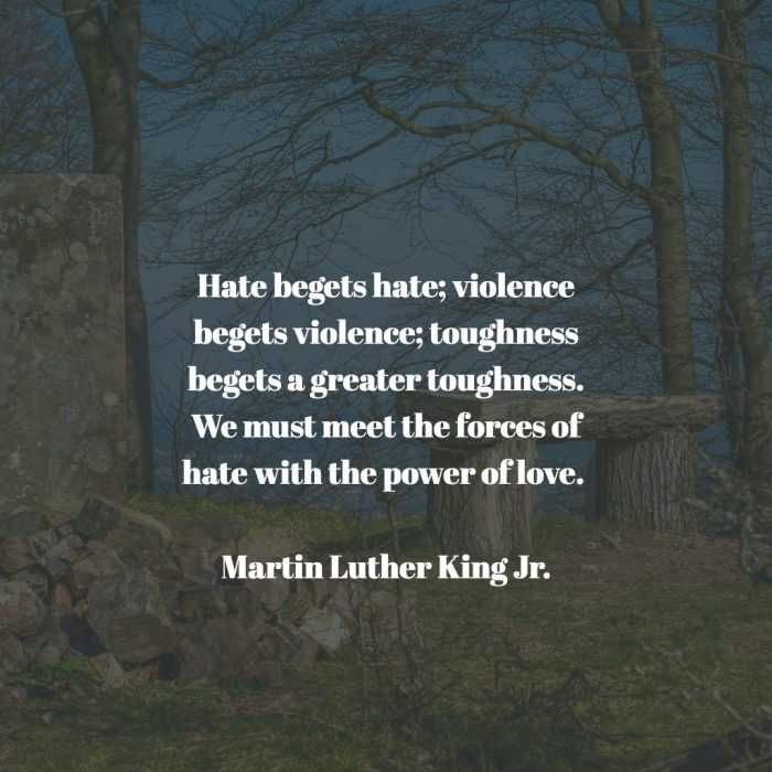 Quote-Mlk-Hate-Begets Quote Mlk Hate Begets