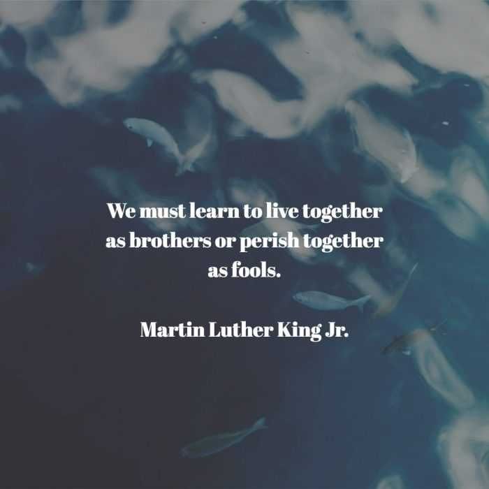 Quote-Mlk-Learn-Together Quote Mlk Learn Together