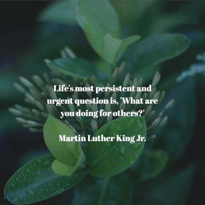 Quote-Mlk-Persistant Quote Mlk Persistant
