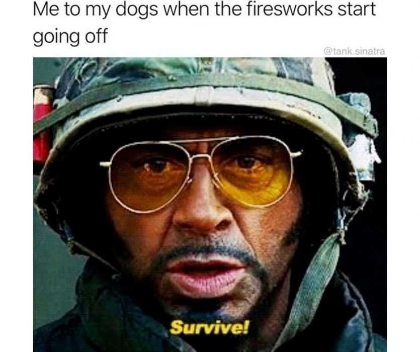 Telling-Dog-To-Survive-Through-Fireworks-Meme Robert Downey Jr Telling Dog To Survive Through Fireworks On Fourth Of July Meme