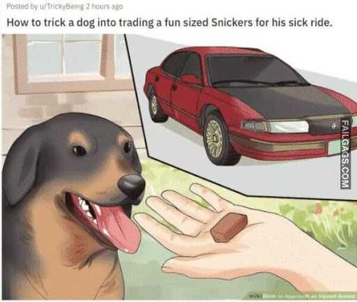 Wiki-Tricka-Dog Wiki Tricka Dog