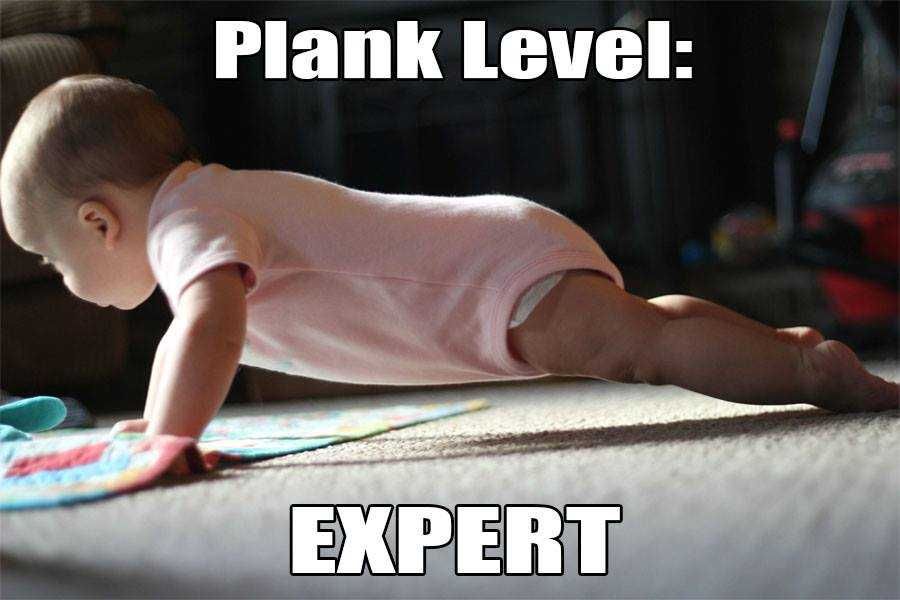 Yoga-Plant-Expert Yoga Plant