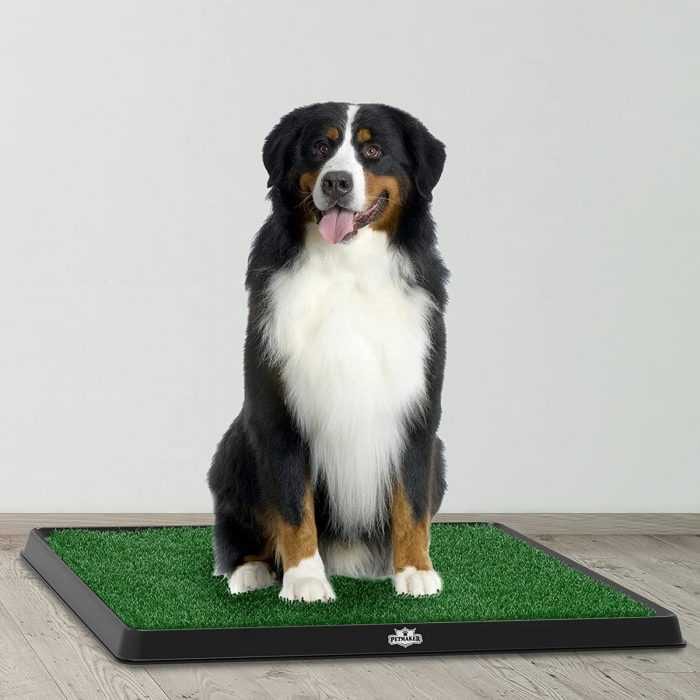 Artificial Grass Dog Bathroom
