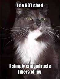Cat-Miracle-Fur Cat Miracle Fur