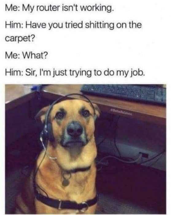 Dog-Router Dog Router