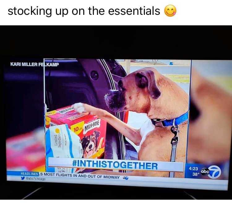 Funny-Stocking-Up Funny Stocking Up