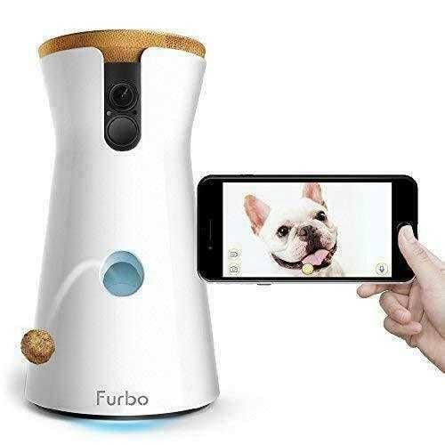 Furbo Cam