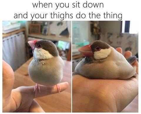 Mee-Sit-Thing Mee Sit Thing