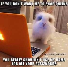 Meme-Cute-Namepassword Meme Cute Namepassword