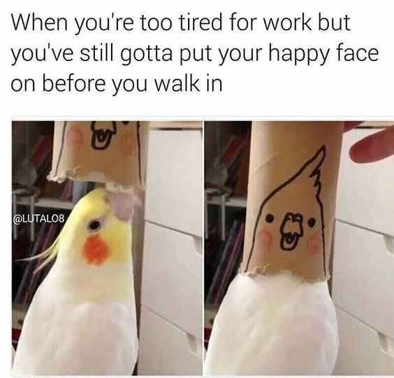 Meme-Funny-Face Meme Funny Face