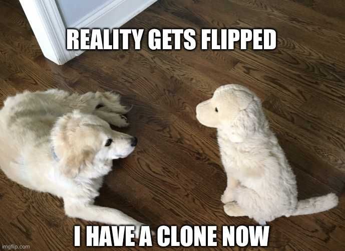 Meme-Get-Flipped Meme Get Flipped