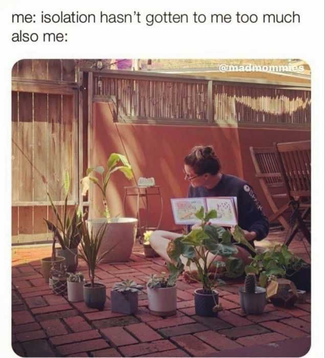 Meme-Isolation-Me Meme Isolation Me