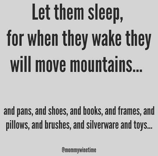 Meme-Let-Them-Sleep Meme Let Them Sleep