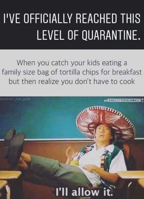 Meme-Level-Of-Quarantine Meme Level Of Quarantine
