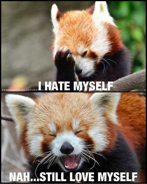 Meme-Love-Myself Meme Love Myself