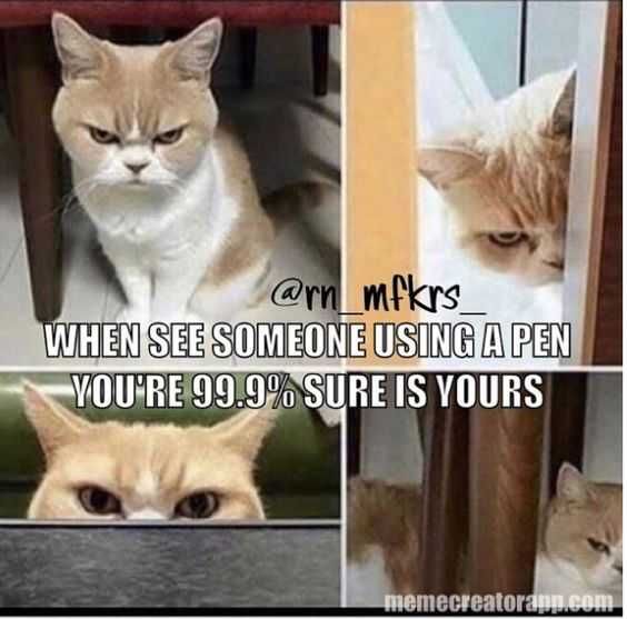 Meme-See-Using Meme See Using
