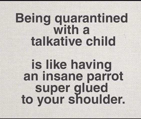 Meme-Talktative Meme Talktative