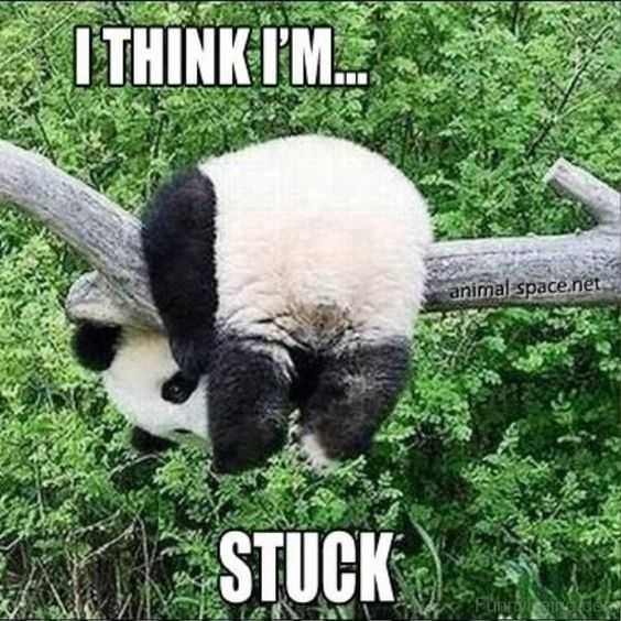 Meme-Think-Stuck Meme Think Stuck