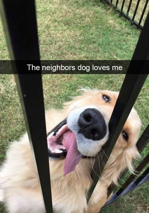 Snapdog-Loves Snapdog Loves