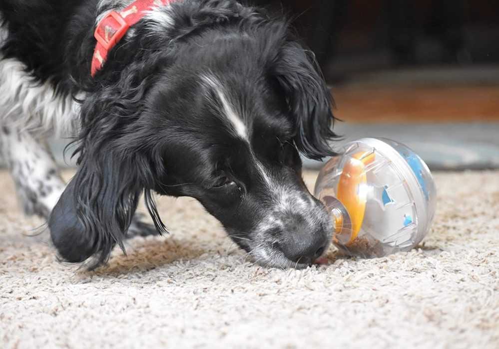 Treat Ball 2