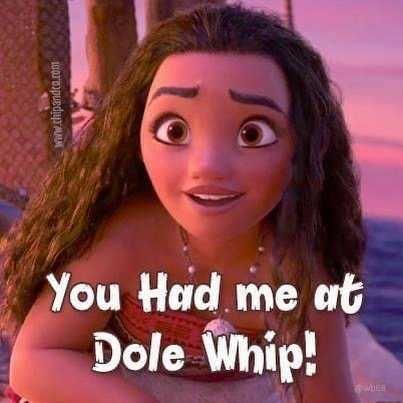 Disney-Dole-Whip Hilarious Disney Memes