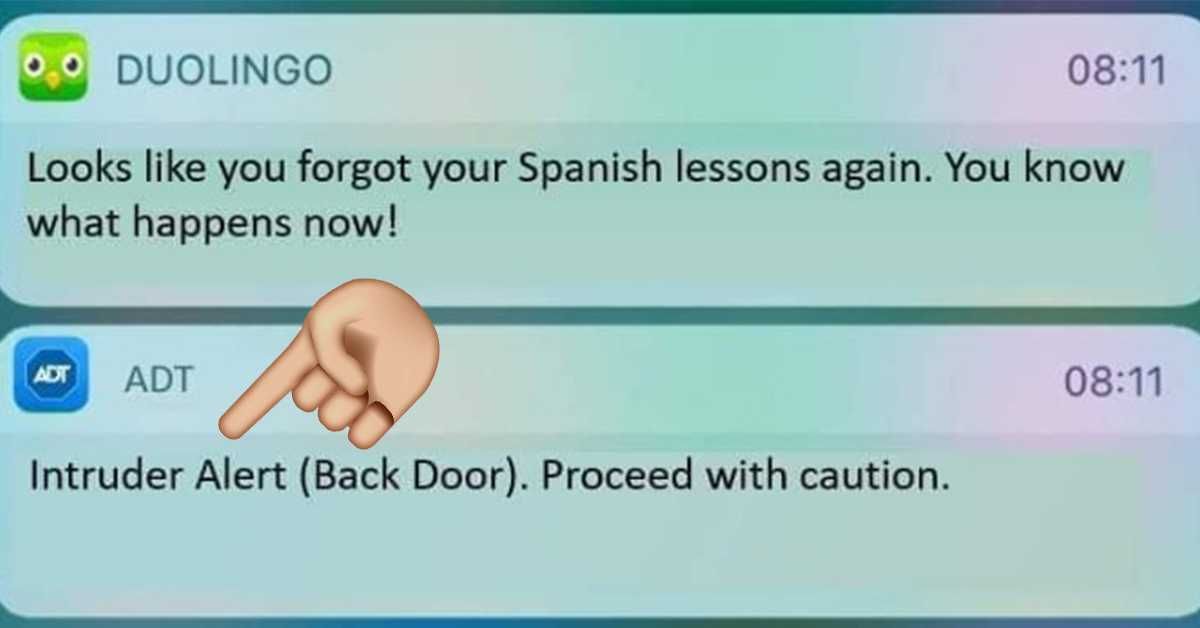 Duo-Intruder Duolingo Adt Alert Meme