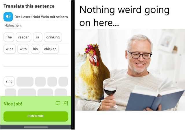 Duo-Reader-Chicken Duo Lingo Over Shoulder Meme