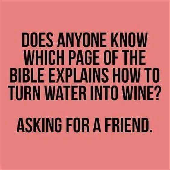 Funny-Asking-Wine Funny Quotes About Life As Described In The Bible