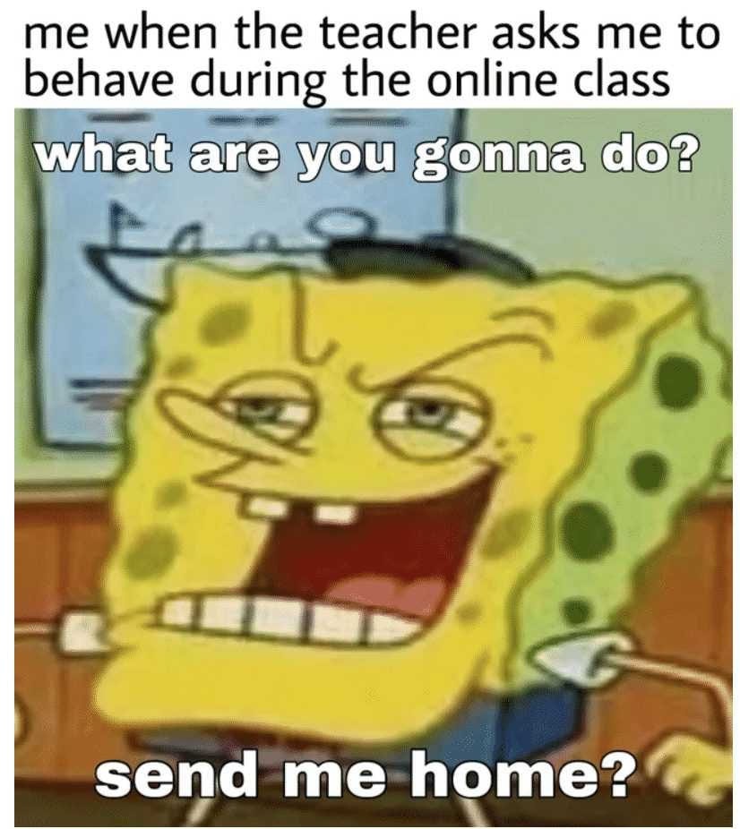 Meme Behave