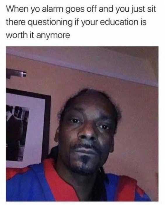 Meme Questioning