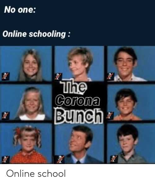 Meme The Corona Bunch