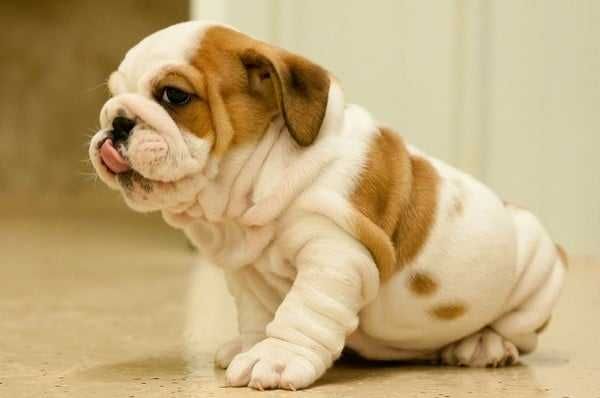 Pic-Wrinkles Pic Wrinkles