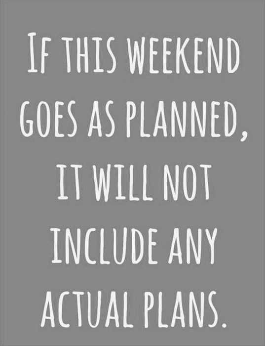 Quote-Any-Plans Quote Any Plans