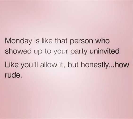 Quote-How-Rude-Monday Quote How Rude Monday
