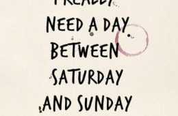 Quote Really Need A Day
