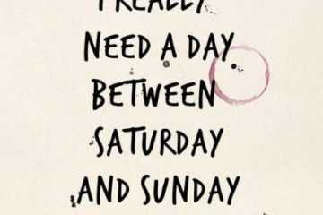 Quote Really Need A Day