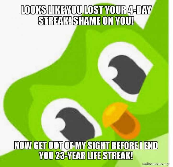 Reddit-4-Day Duolingo Meme Of Insults