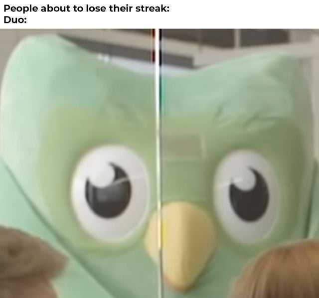 Reddit-Duo-About Duolingo Owl Observing Meme