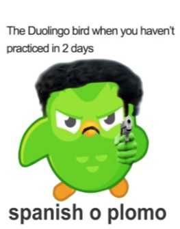Reddit-Duo-Spanish Duolingo Pulls Gun Meme