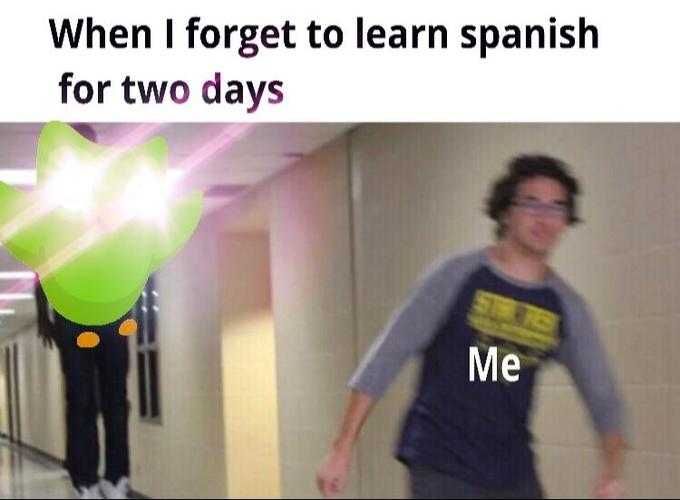 Reddit-Forget-Learn-Spanish Duolingo Memes Of Terror