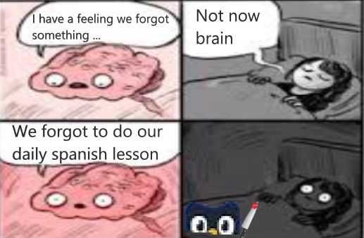 Reddit-Forgot-My-Lesson Duolingo Memes With Brain