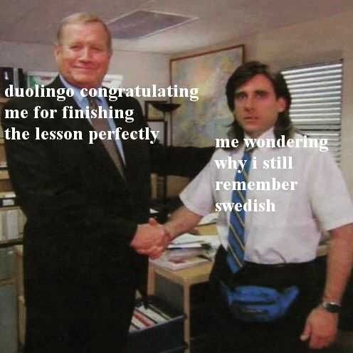 Reddit-Me-Remembering Duolingo Success Meme