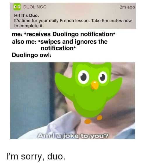 Reddit-Notification Duolingo Owl Memes